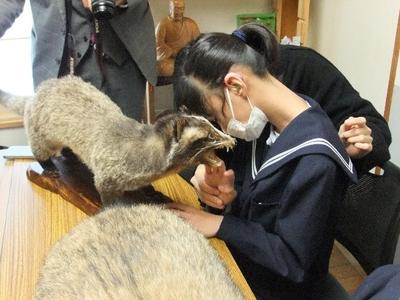 手でみる博物館で触察する様子