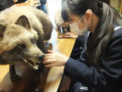 手でみる博物館で触察する様子