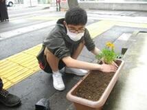 土をやさしく両手で押さえて植え替え