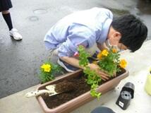 植え替え位置を確認