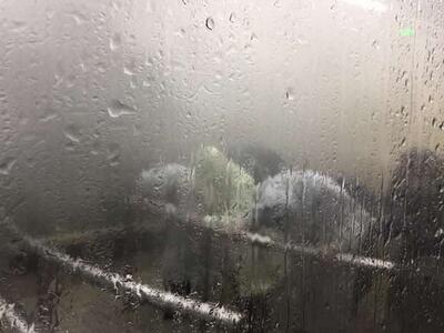 ドザーッ!ビューッ!「うわーっ!こんな雨、本当に降るの⁉」「顔が、顔があげられな~い!」驚がくの豪雨体験。 ドザーッ!ビューッ!「うわーっ!こんな雨、本当に降るの⁉」「顔が、顔があげられな~い!」驚がくの豪雨体験。
