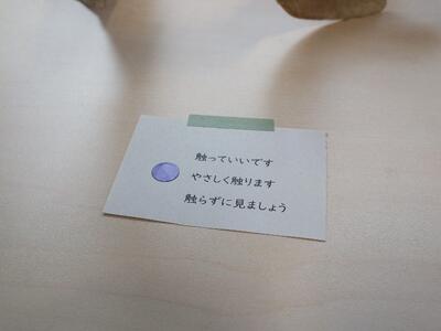 ひとつひとつの展示物に、さわり方を教えてくれるシートを準備しました。 ひとつひとつの展示物に、さわり方を教えてくれるシートを準備しました。